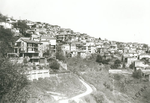 Kalogritsa Angeliki 1