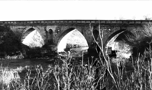 Krommidas b&w 07