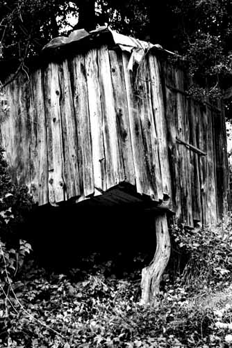 Krommidas b&w 09