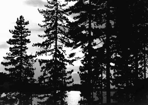 Krommidas b&w 14