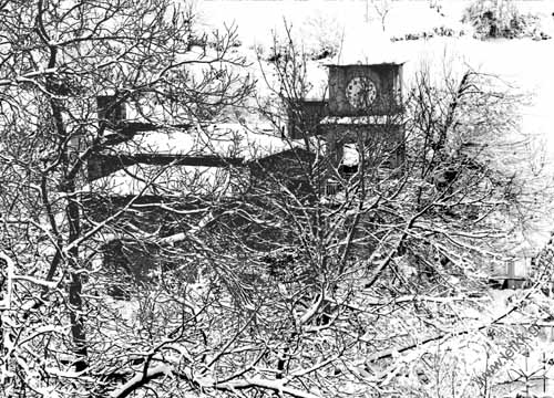 Krommidas b&w 16