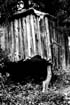 Krommidas b&w 09